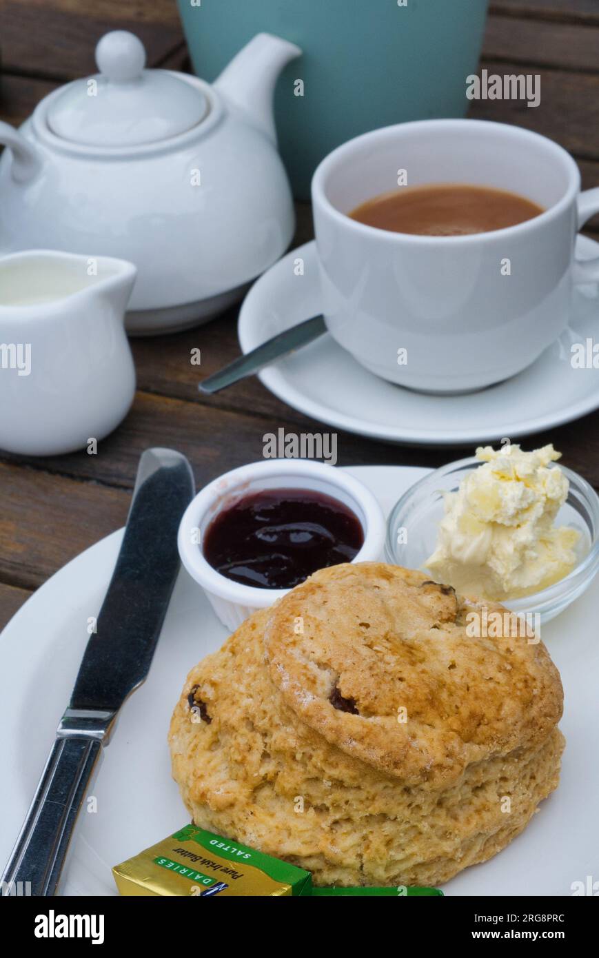 Traditional Cream Tea with Scone, jam, clotted cream and pot of tea Stock Photo