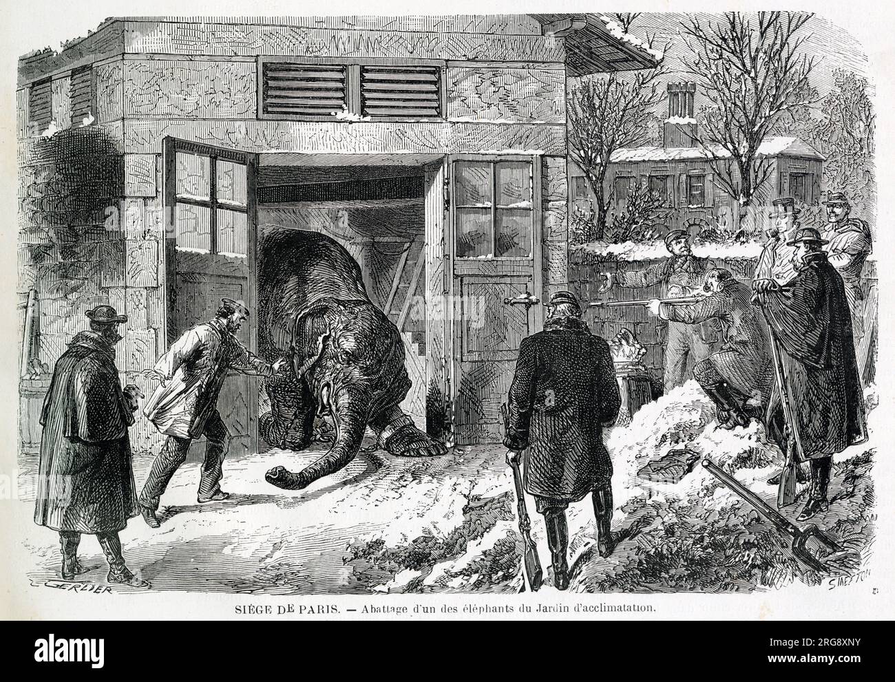 The shortages in Paris reached such levels, that the two elephants held