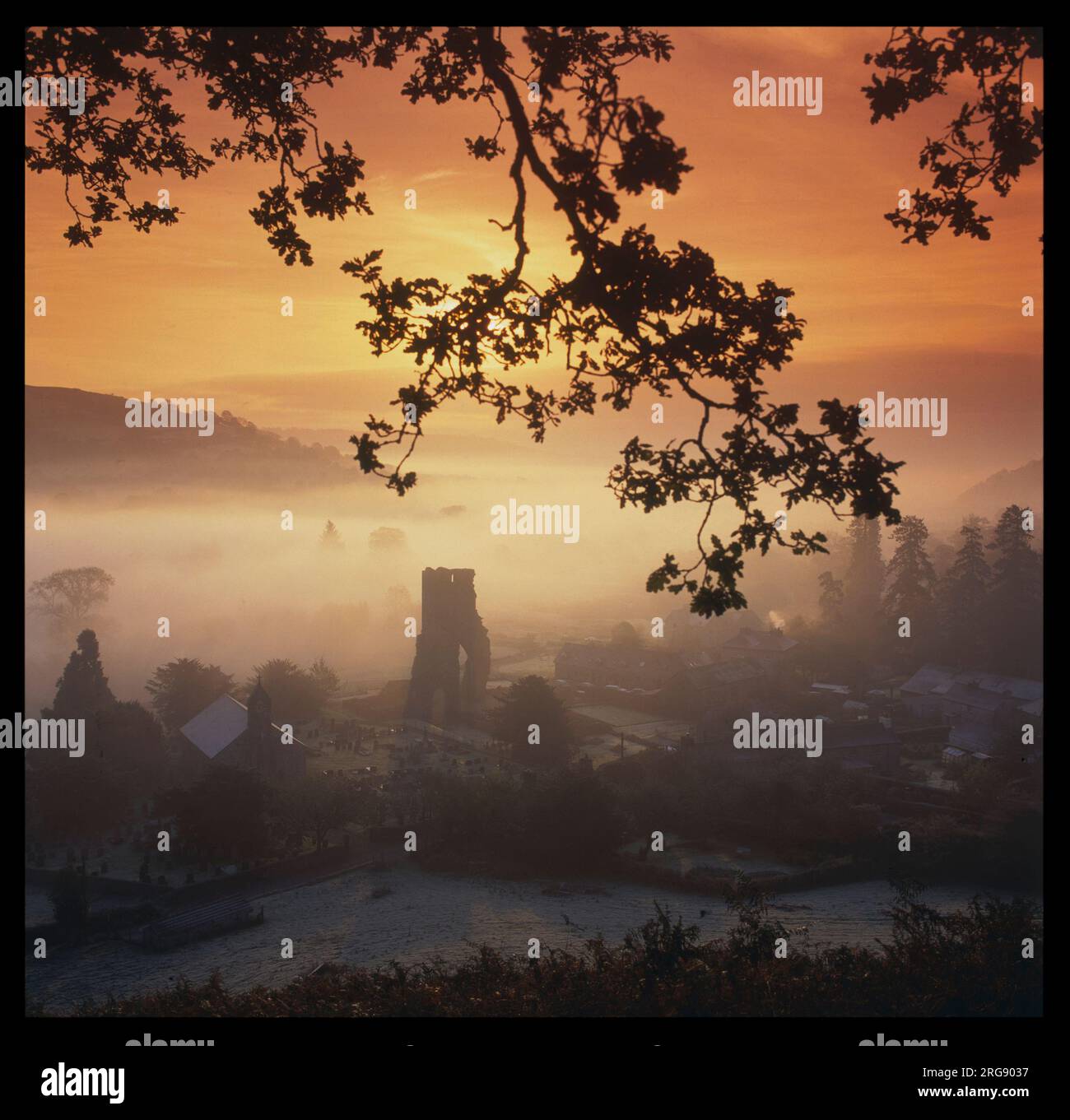 Dawn over Talley Abbey, near Llandeilo, Wales. The abbey was founded for the Premonstratensian order by Lord Rhys (Rhys ap Gruffudd), between 1184 and 1189. Stock Photo