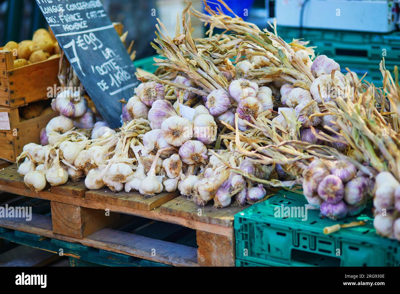 Large heap of fresh ripe organic garlic on farmer market in Cucuron,  Provence, France Stock Photo - Alamy