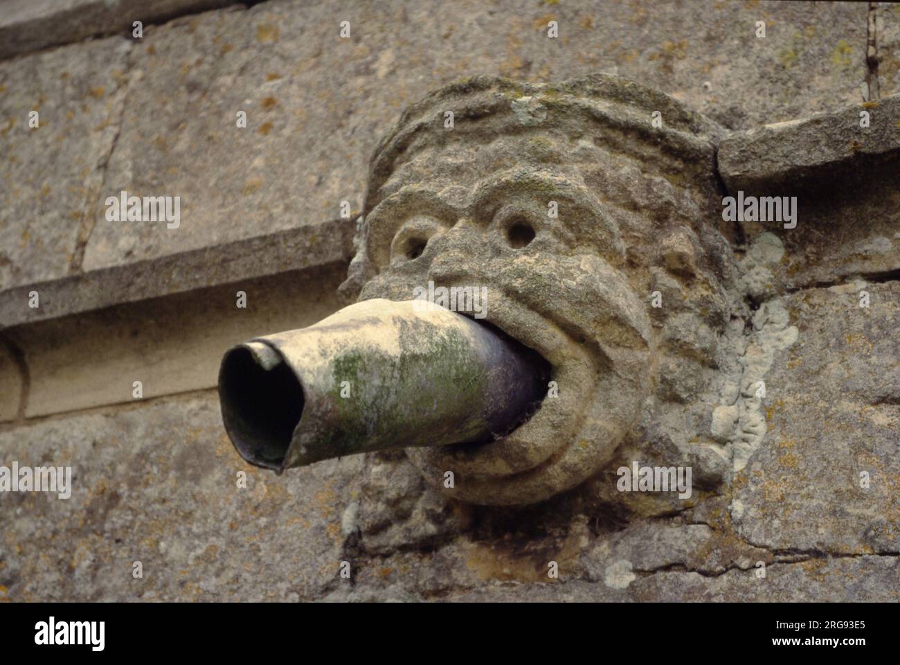 A gargoyle with staring eyes and a water pipe coming out of its mouth on All Saints Church, Barnby in the Willows, near Newark, Nottinghamshire. Stock Photo