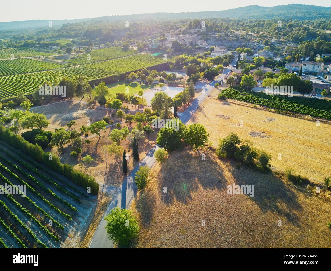 Aerial scenic Mediterranean landscape with cypresses, olive trees and vineyards in Provence, Southern France Stock Photo