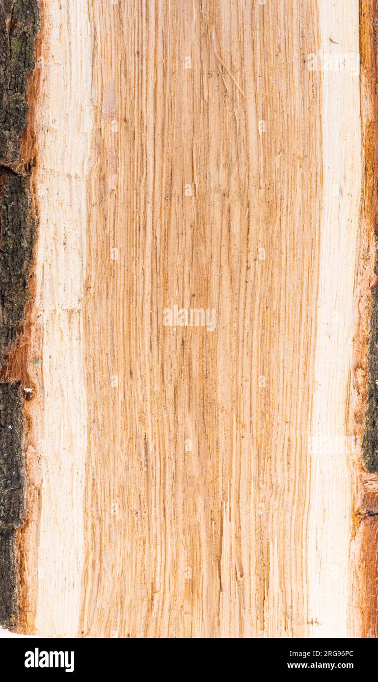 Chopped oak hi-res stock photography and images - Alamy