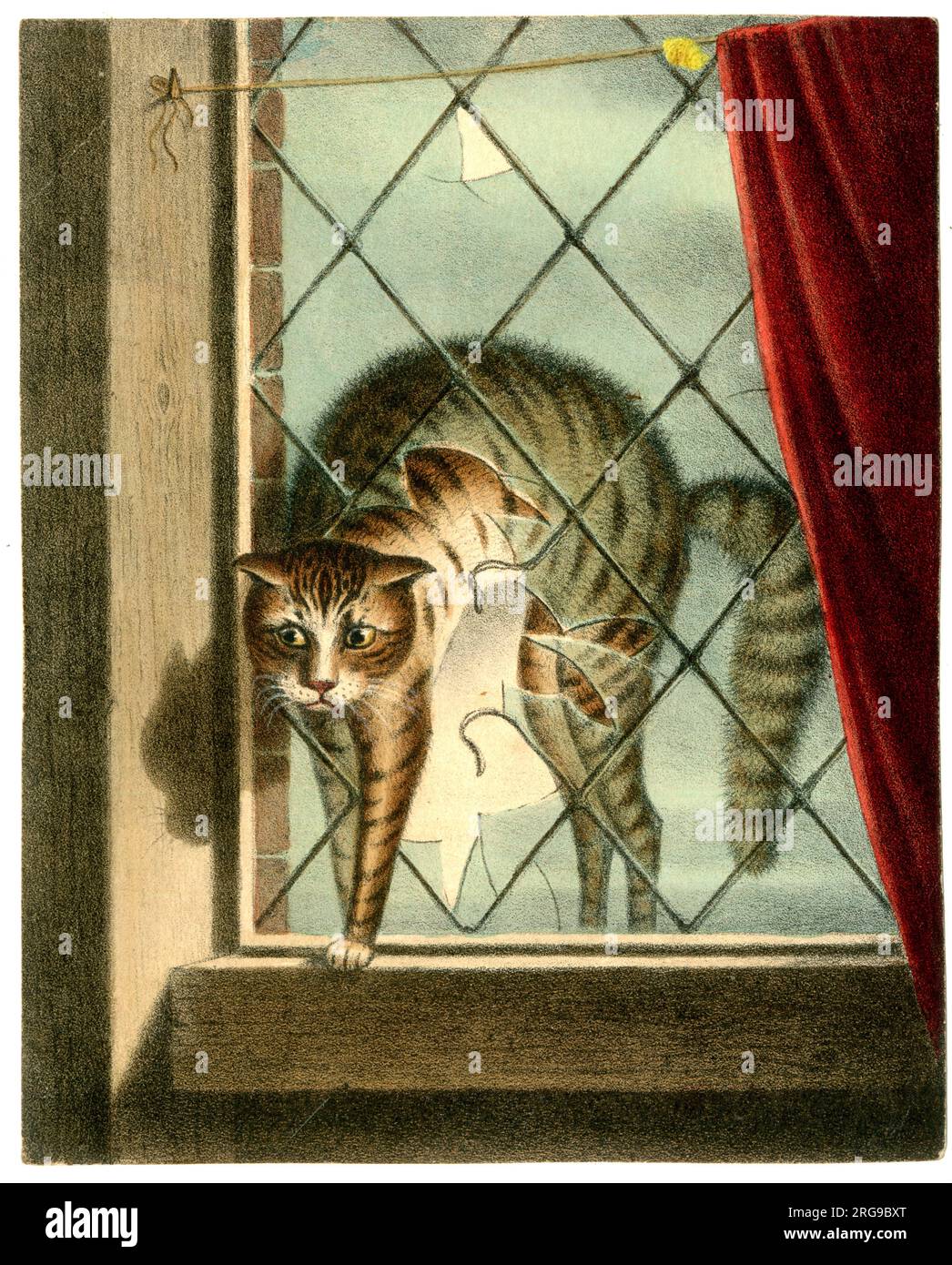 Cat climbing through Broken Window - mid 19th century colour print Stock Photo