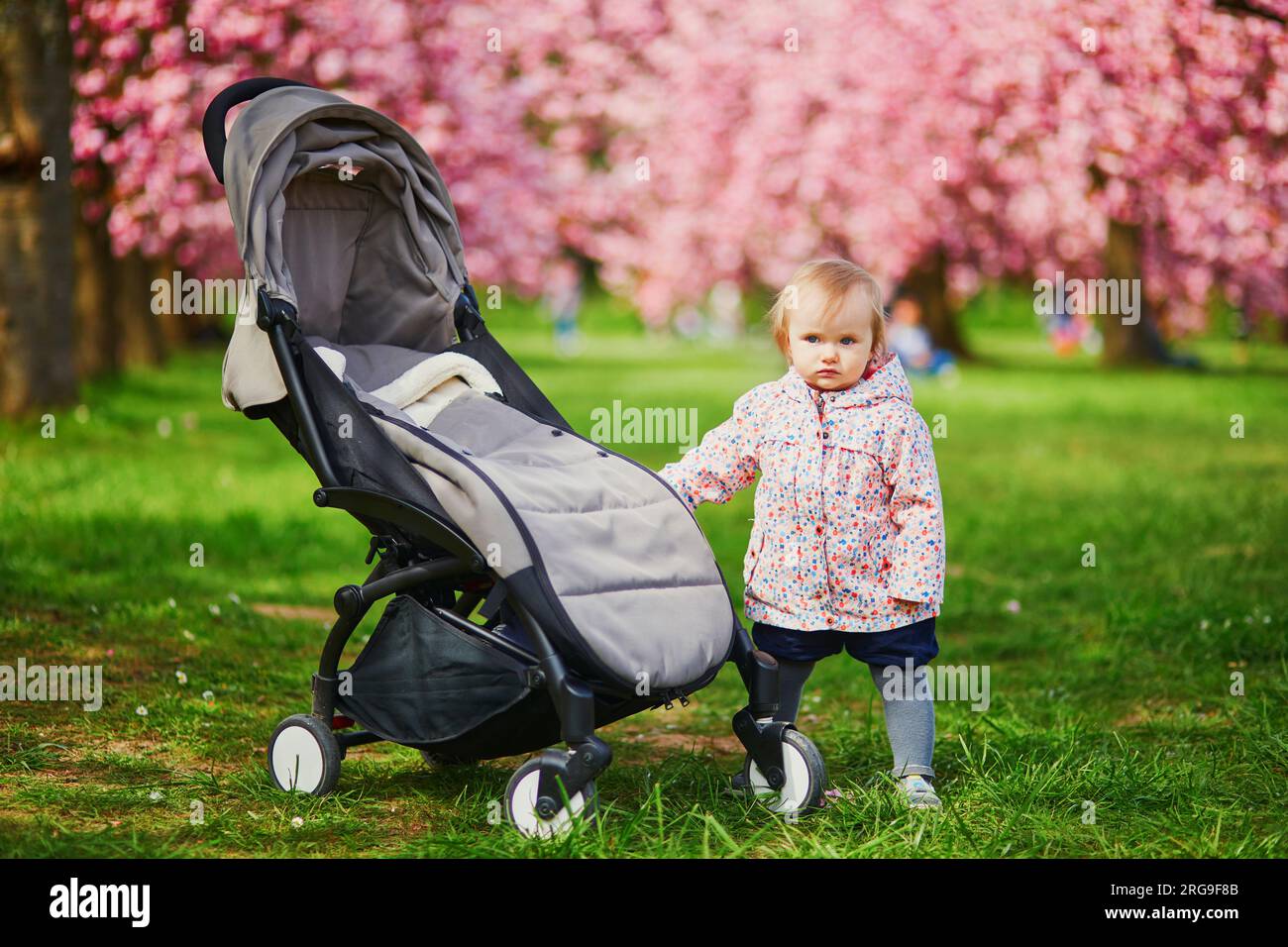 One year old girl standing next to her pushchair in park at cherry