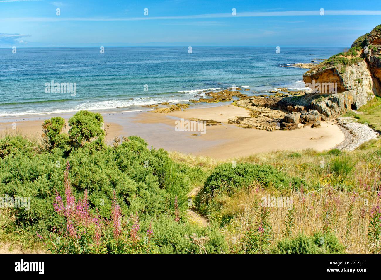 Hopeman Moray Firth Scotland sandstone cliff a blue green sea a sandy beach and wild flowers in summer Stock Photo