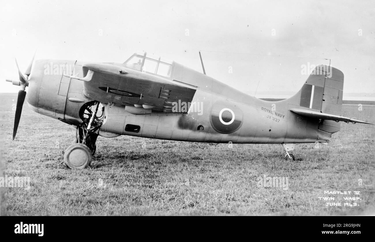 A General Motors Martlet V of the Fleet Air Arm. the Martlet was soon to be re-named Wildcat (as per US Navy). the Martlet V was equivalent to the US Navy General Motors FM-1 (Grumman F4F-4), powered by a Pratt and Whitney Twin Wasp engine. From a negative of a reference photograph Stock Photo