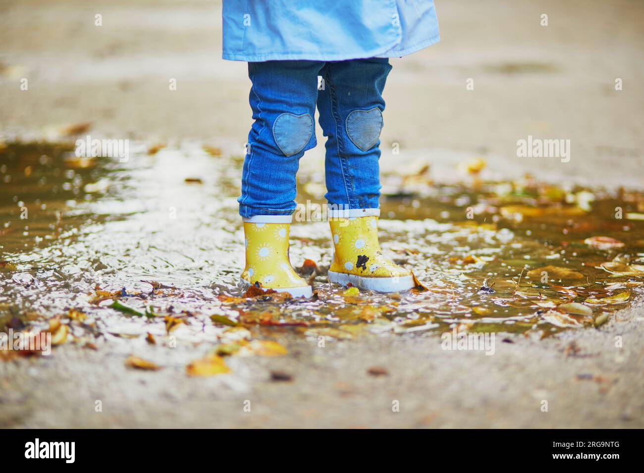 Child wearing yellow rain boots and jumping in puddle on a fall day ...