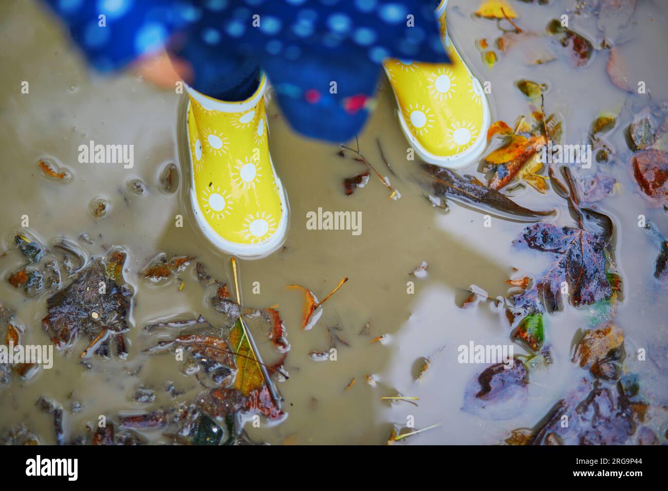 Child wearing yellow rain boots and jumping in dirty puddle on a fall ...