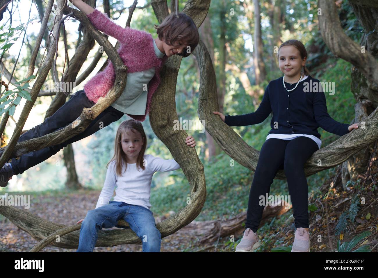 Friendship, childhood, leisure and people concept. Happy kids hanging on tree and having fun together in summer park Stock Photo