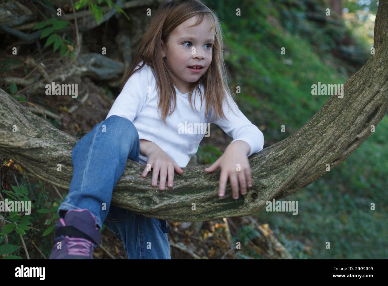 Happy child on countryside. Climbing trees kid. Little girl climbing high tree Stock Photo