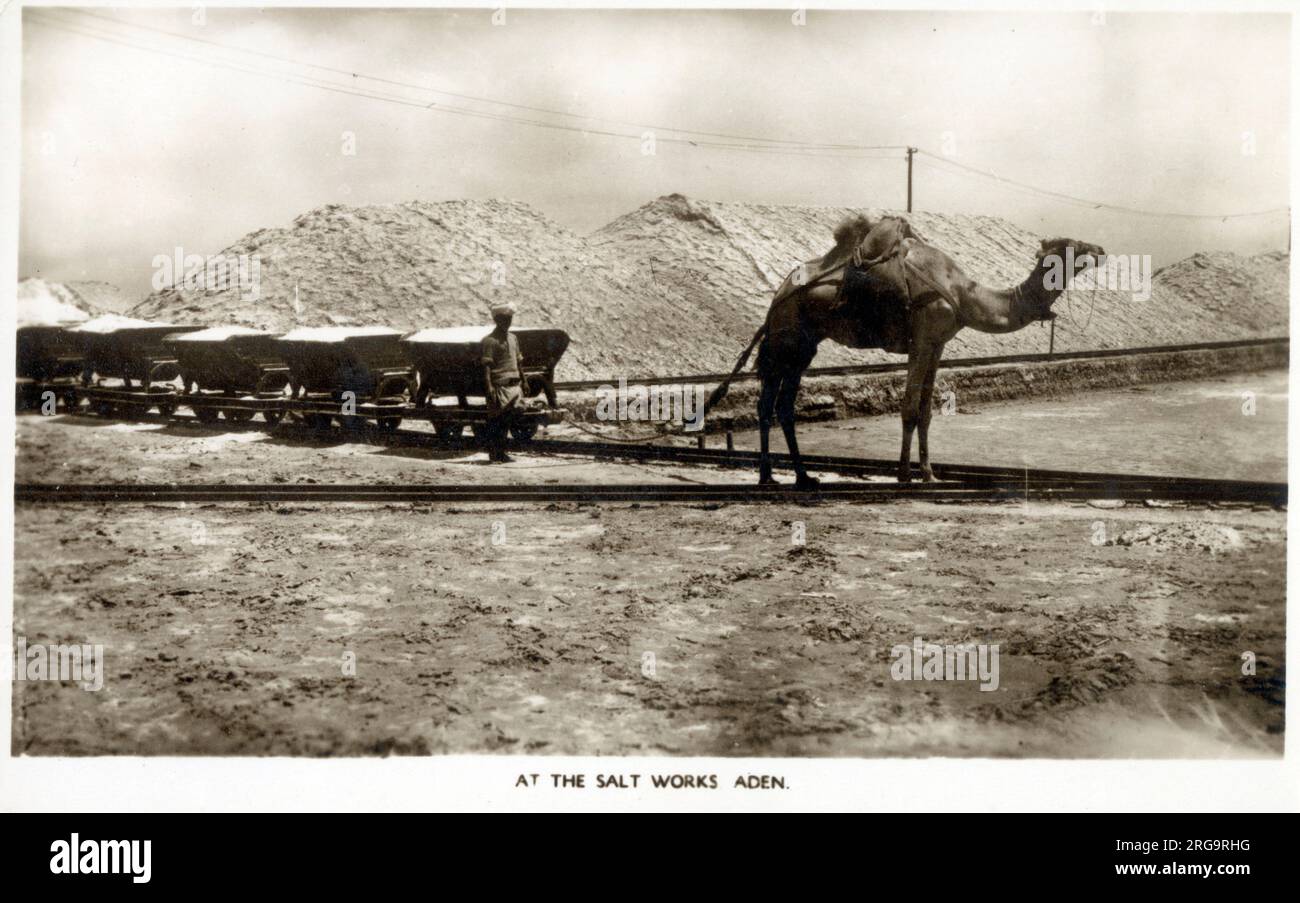 The Salt Works, Aden, Yemen a line of wagons pulled along railway