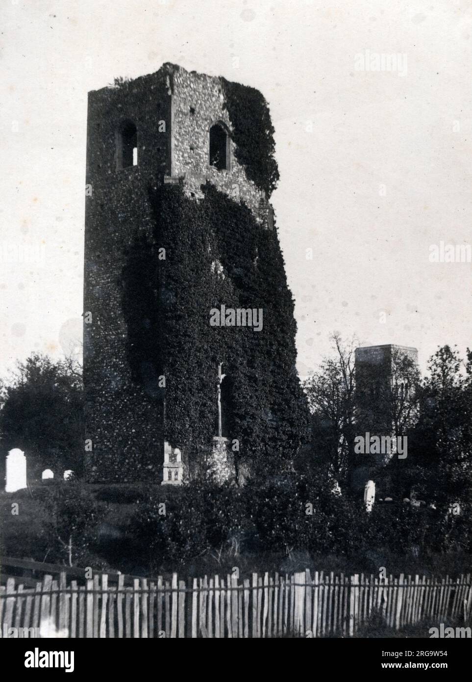 Remains of the ivy-clad Tower of All Saints Church, Gillingham, Norfolk Stock Photo