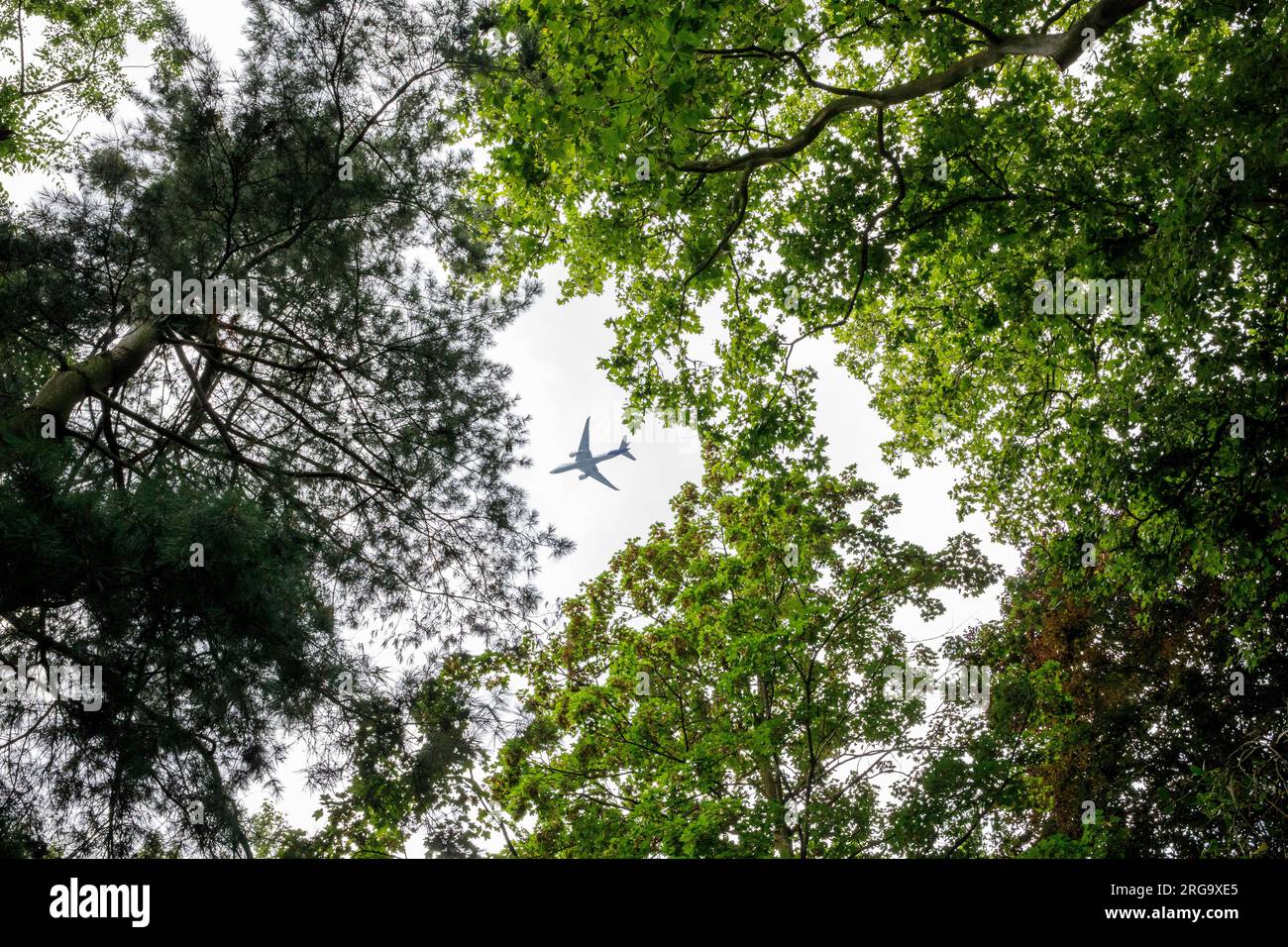 plane over the Stammheim castle park in the district of Stammheim, public green area in which modern art is exhibited, Cologne, Germany. Flugzeug uebe Stock Photo