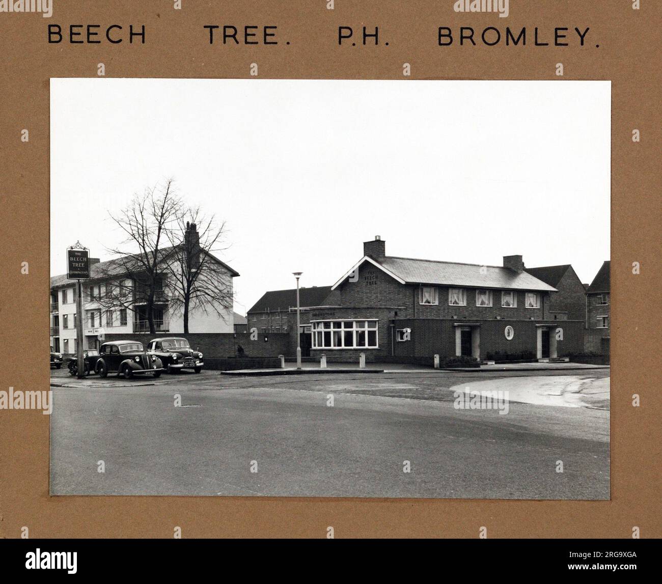 Photograph of Beech Tree PH, Bromley, Greater London. The main side of the print (shown here) depicts: Corner on view of the pub.  The back of the print (available on request) details: Nothing for the Beech Tree, Bromley, Greater London BR1 3QZ. As of July 2018 . Renamed The Hop & Rye . Stonegate Pubs Stock Photo