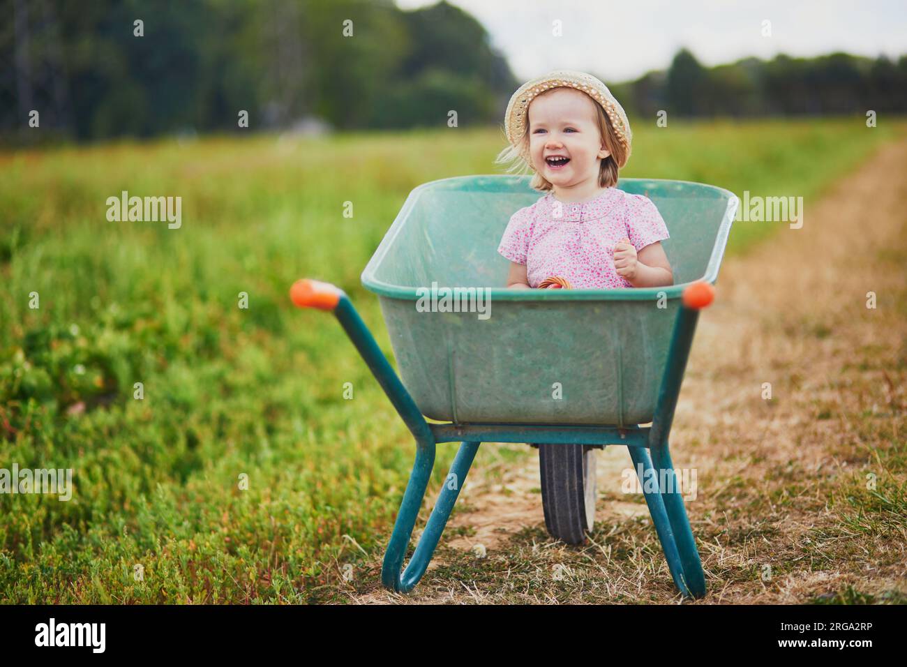Adorable toddler girl in straw hat sitting in wheelbarrow on a farm ...