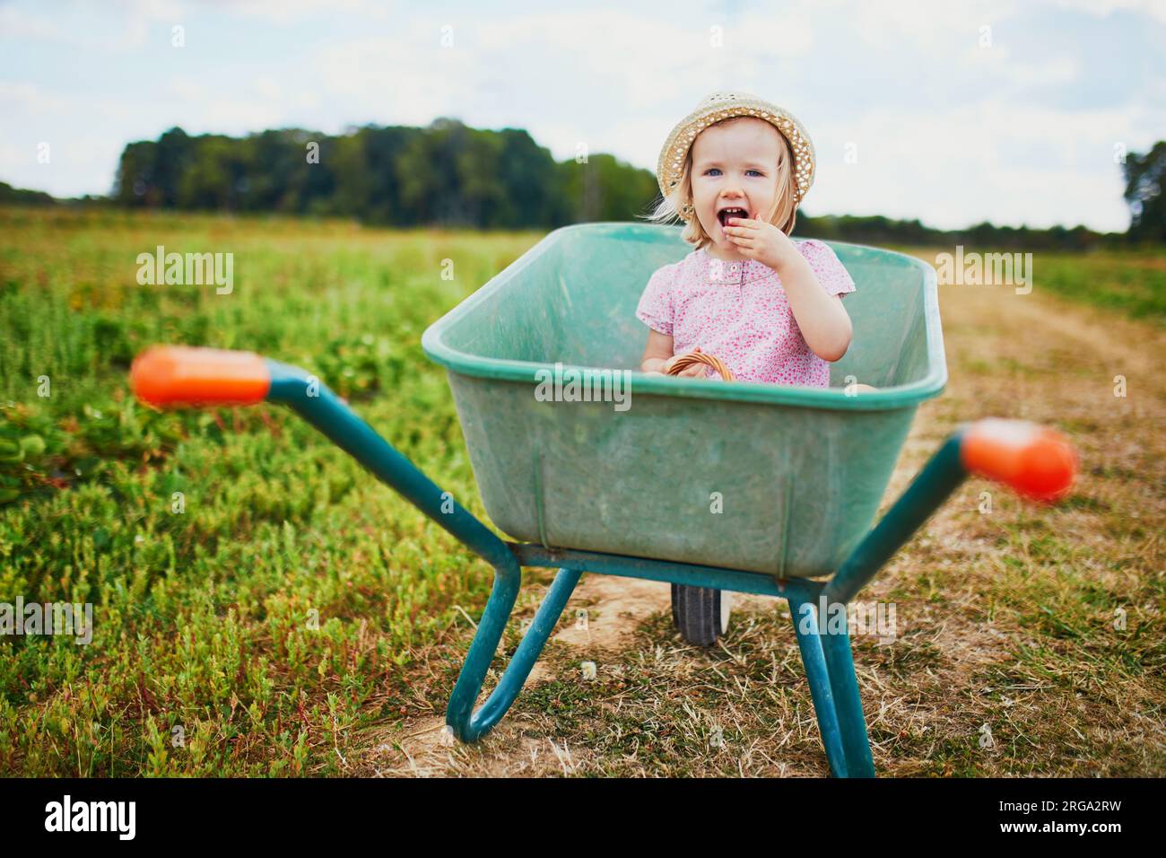 Adorable toddler girl in straw hat sitting in wheelbarrow on a farm ...