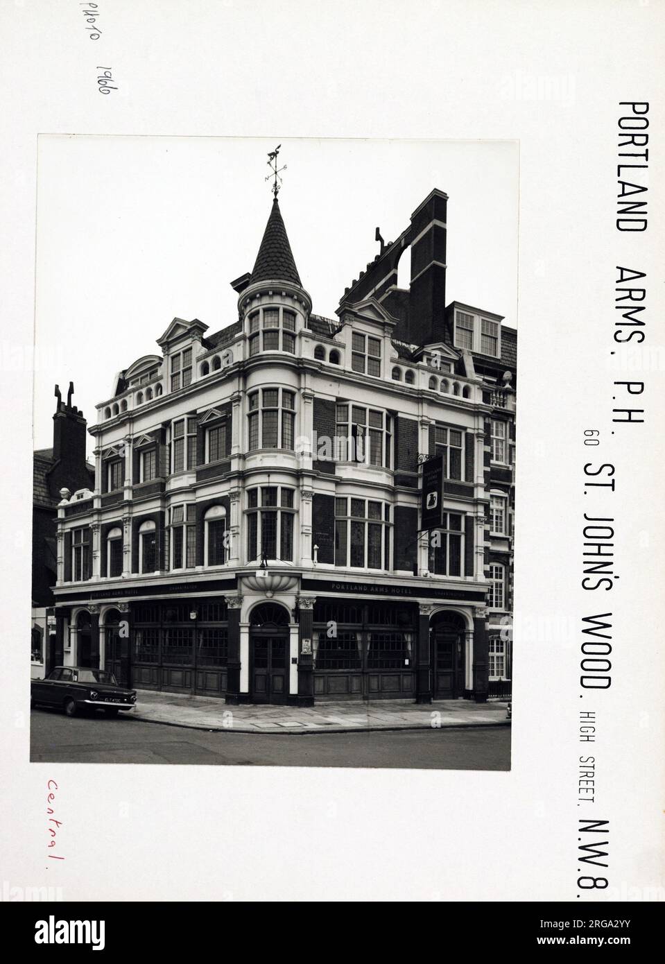 Photograph of Portland Arms, St Johns Wood, London. The main side of the print (shown here) depicts: Corner on view of the pub.  The back of the print (available on request) details: Nothing for the Portland Arms, St Johns Wood, London NW8 7SH. As of July 2018 . Now a branch of Carluccio's Stock Photo