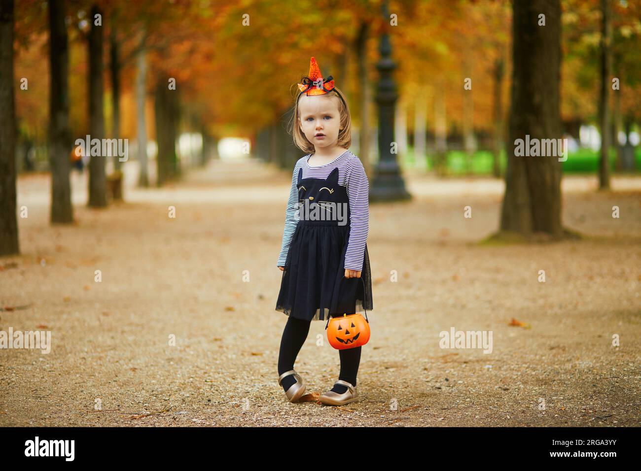 Orange tutu hi res stock photography and images Alamy