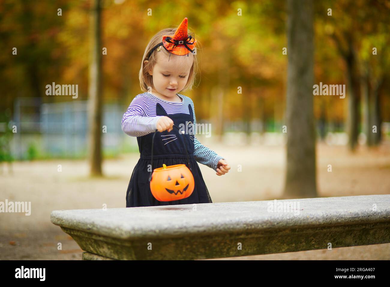 Adorable toddler girl in black cat dress with tutu skirt trick or treating with orange pumpkin bucket. Happy kid celebrating Halloween in Paris Franc Stock Photo Alamy