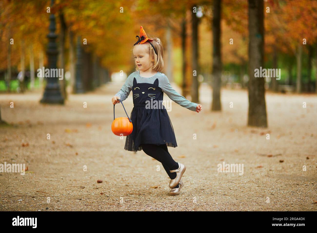 Adorable toddler girl in black cat dress with tutu skirt trick or