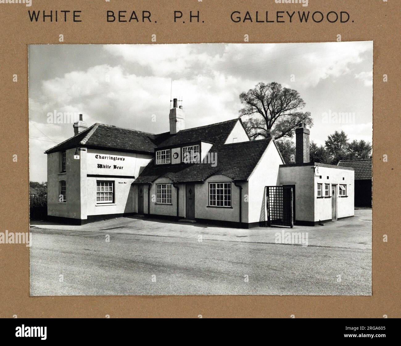 Photograph of White Bear PH, Galleywood, Essex. The main side of the print (shown here) depicts: Right face on view of the pub.  The back of the print (available on request) details: Nothing for the White Bear, Galleywood, Essex CM2 8NH. As of July 2018 . Punch Taverns Stock Photo