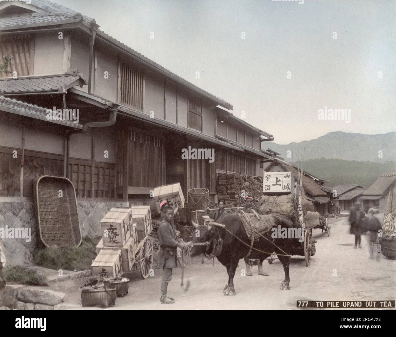 Transporting boxes of tea by ox cart, Japan. Vintage 19th century