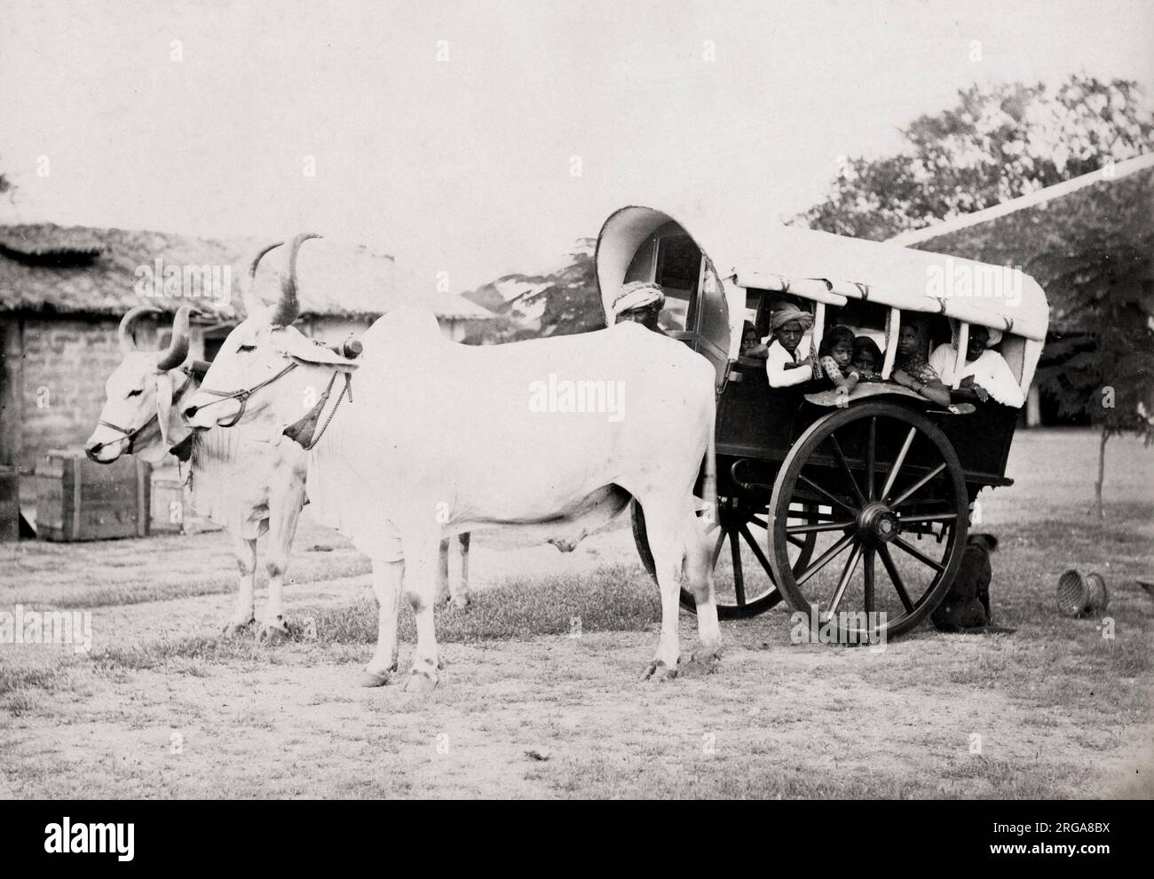 Covered ox cart for transporting people, gharry, gharri, country travel India. Vintage 19th century photograph. Stock Photo