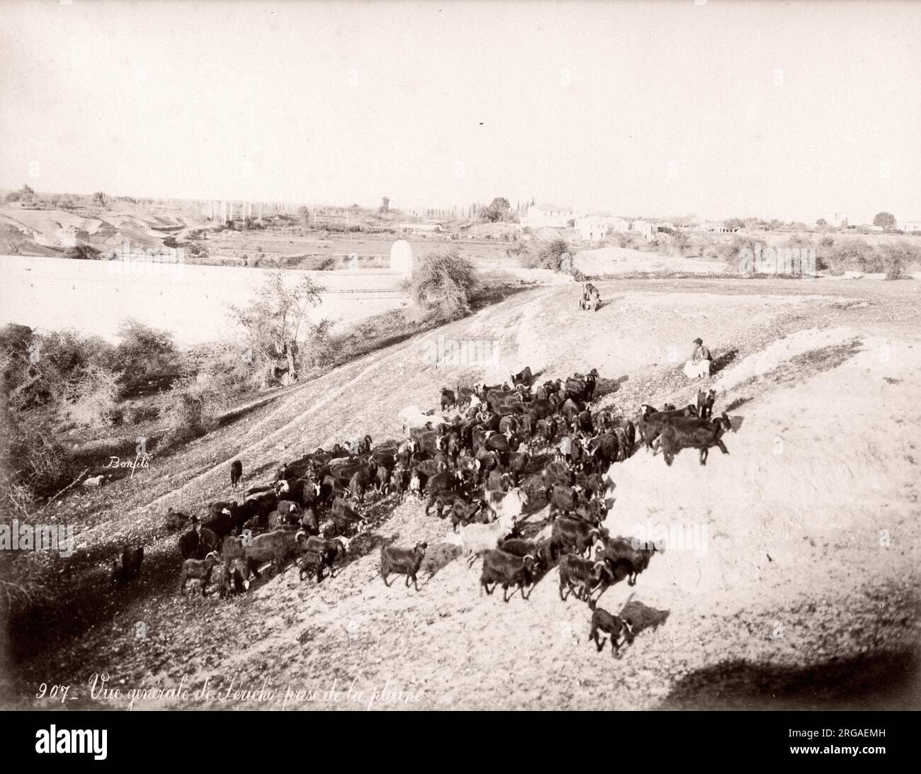 View of Jericho, Holy Land, Palestine, now West Bank, c.1890's with herd of goats. Stock Photo