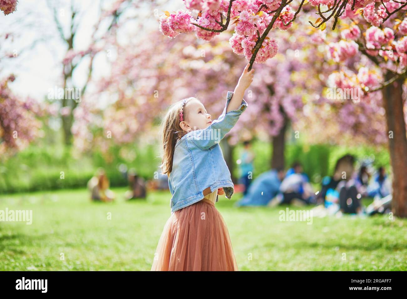 Adorable preschooler girl in tutu skirt enjoying nice spring day in ...