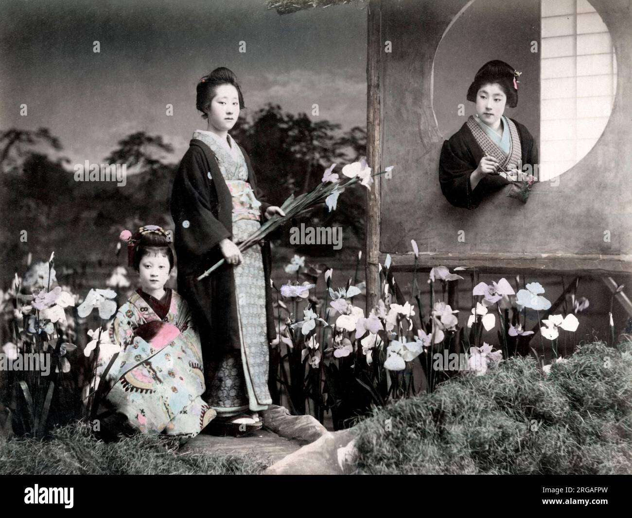 c.1880's Japan - geishas with iris flowers Stock Photo