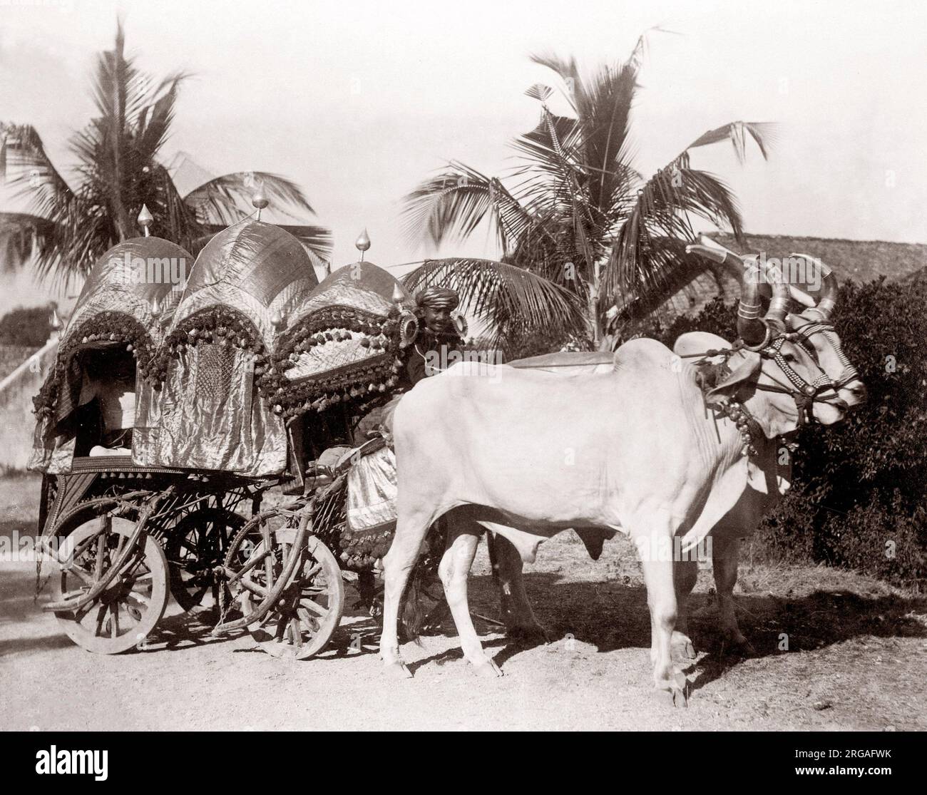 c. 1880s India - image from an album of Indian 'types' and trades' designed to illustrate India to a British viewer - cattle cart Stock Photo