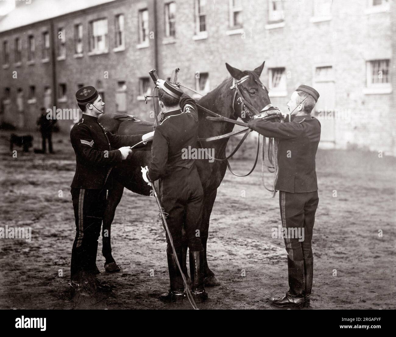 c.1890 British army - breaking in a young cavalry horse for the 3rd Hussars Stock Photo