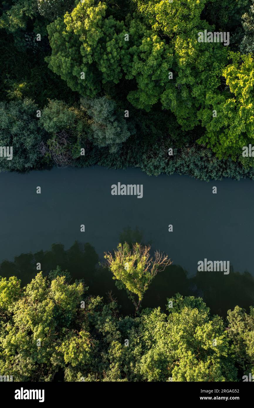 Aerial drone river in forest hi-res stock photography and images - Alamy