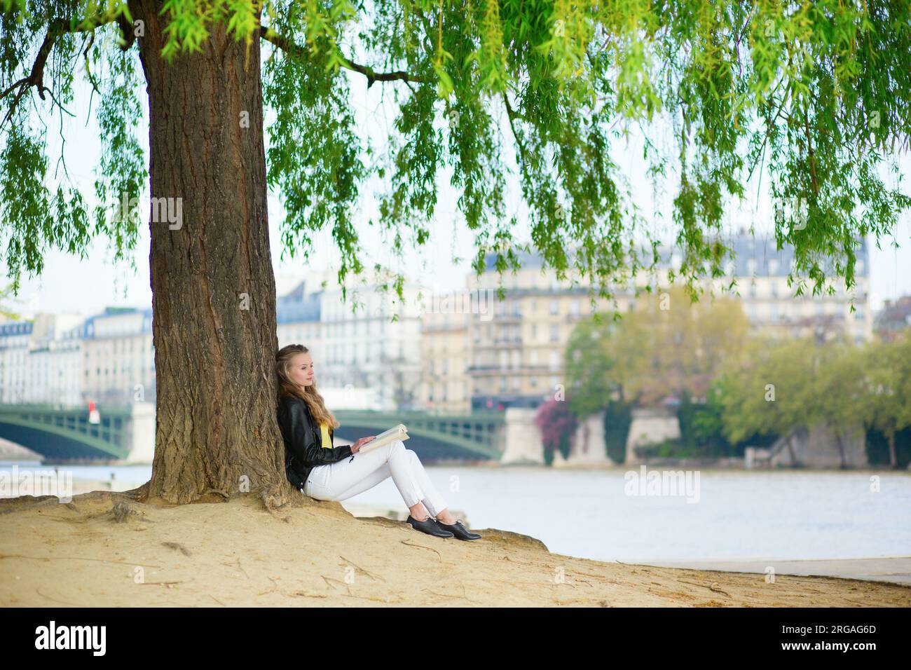 Girl reading a book under the tree Stock Photo - Alamy