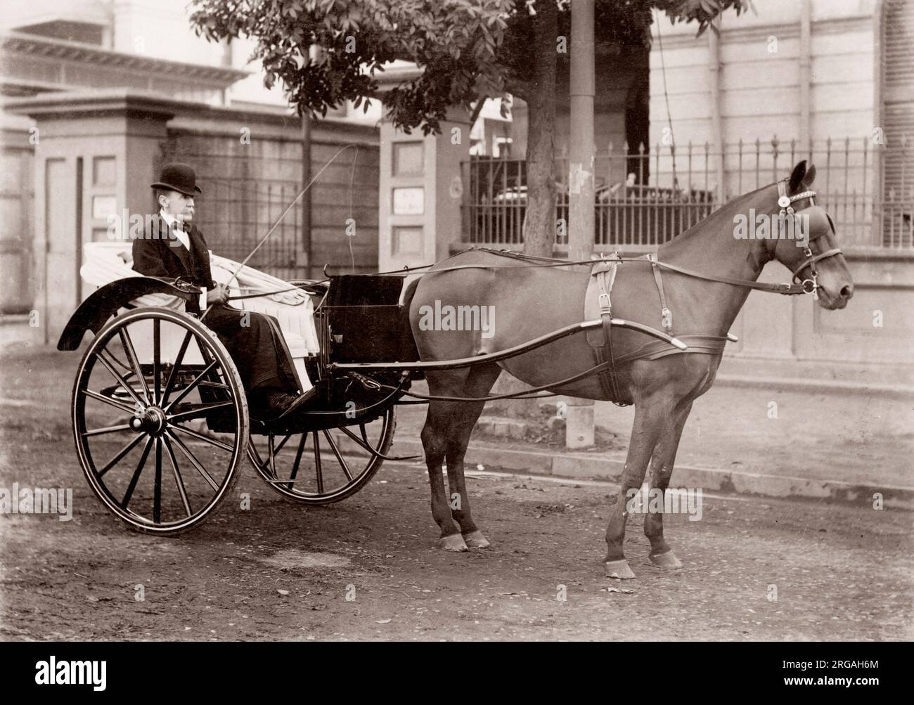 19th century vintage photograph India - European man with a pony and trap Stock Photo