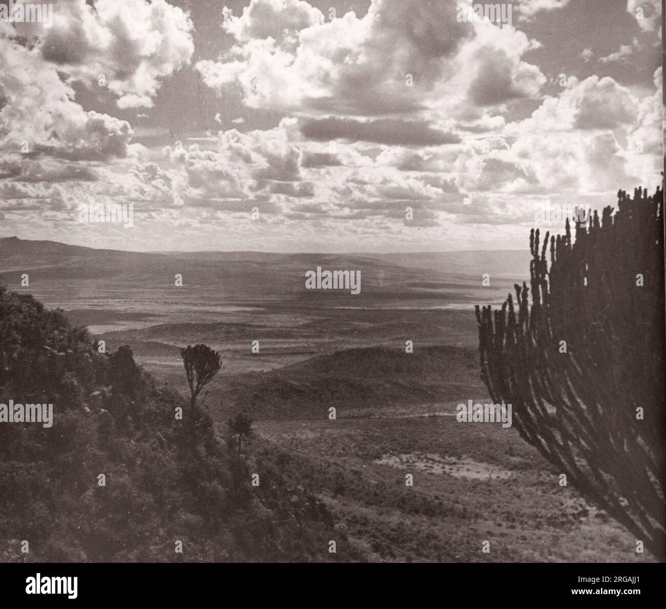 Great war east africa hi-res stock photography and images - Alamy
