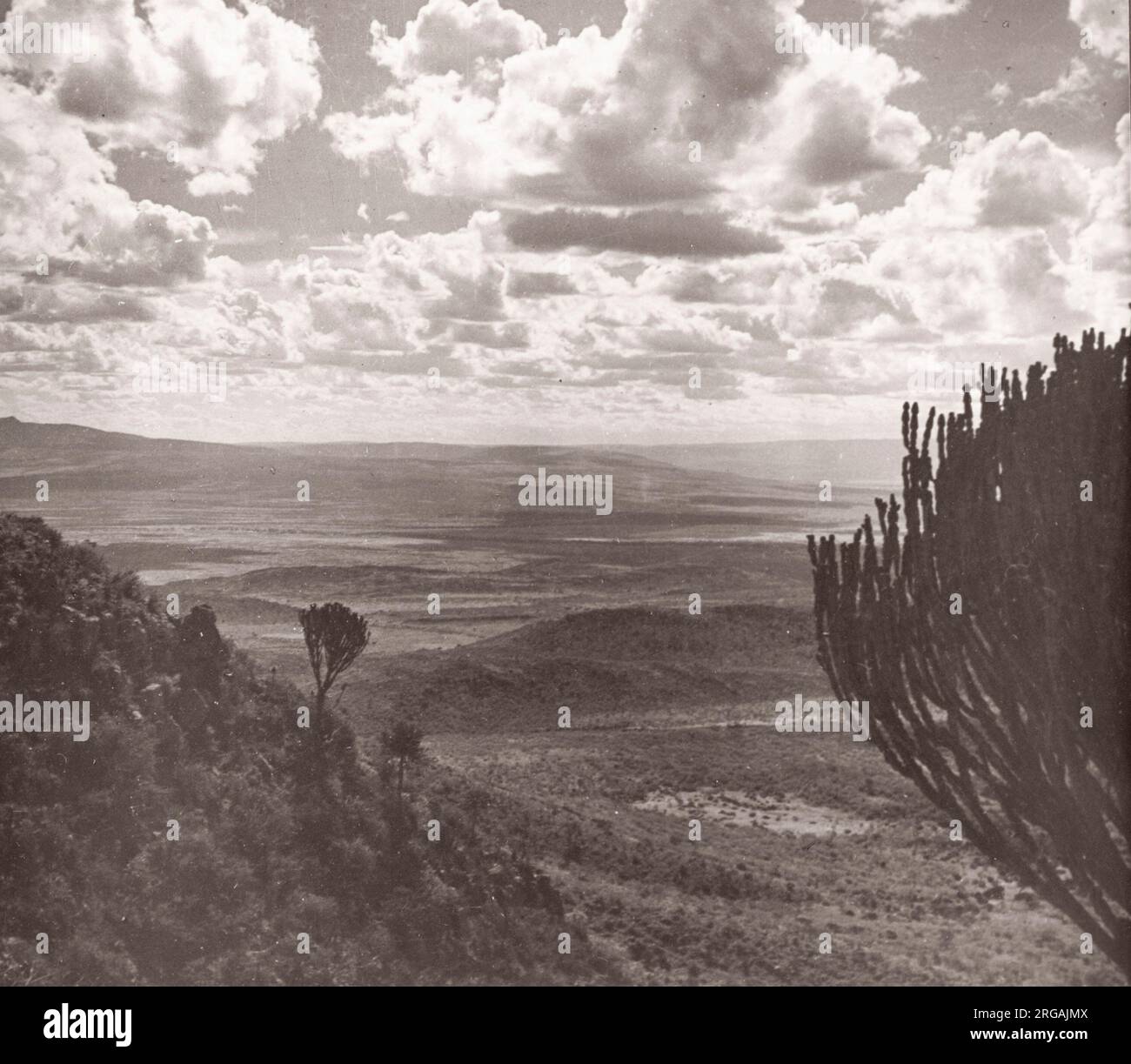 Great war east africa hi-res stock photography and images - Alamy