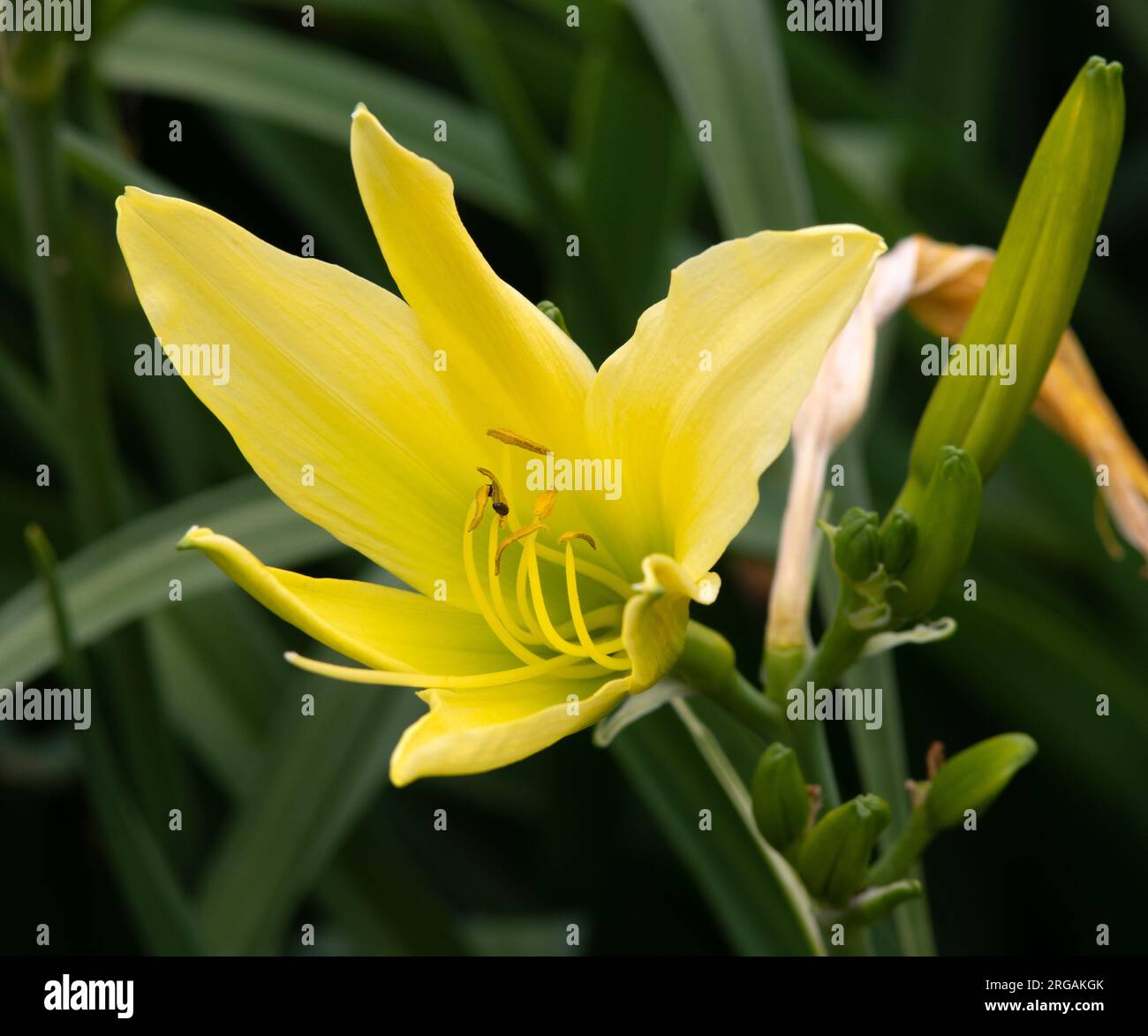 Whichford hi-res stock photography and images - Alamy