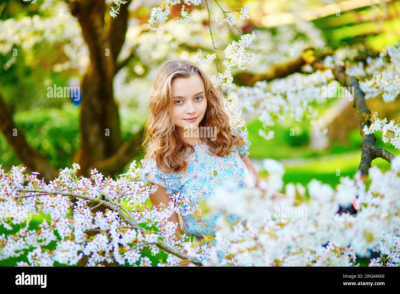 Beautiful young girl in cherry blossom garden on a spring day Stock ...