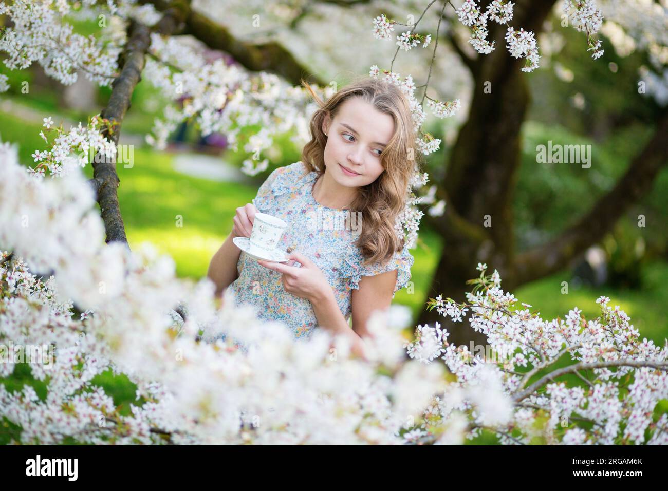 Beautiful young girl drinking tea in cherry garden on a spring day ...