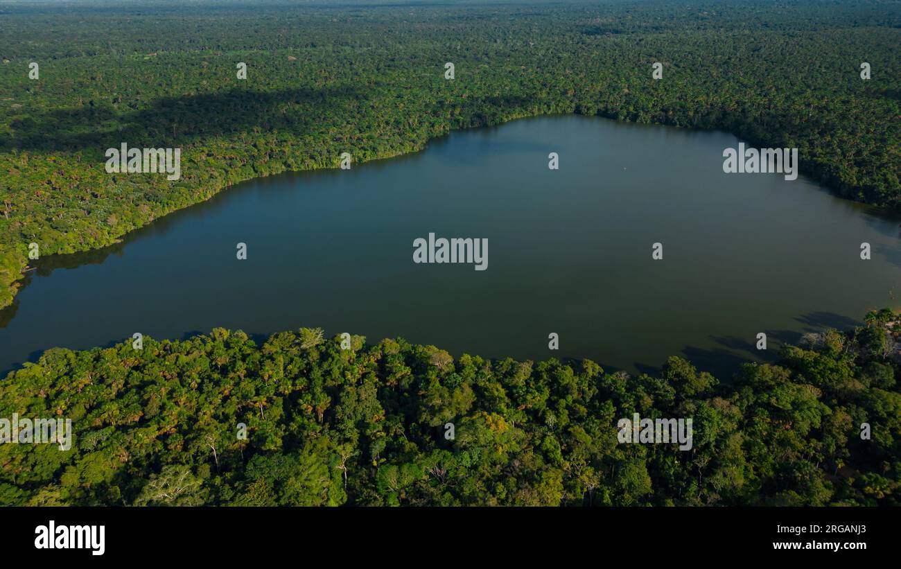 LAKE, SURROUNDED BY DENSE JUNGLE, THE MEANDERS ARE OBSERVED Stock Photo
