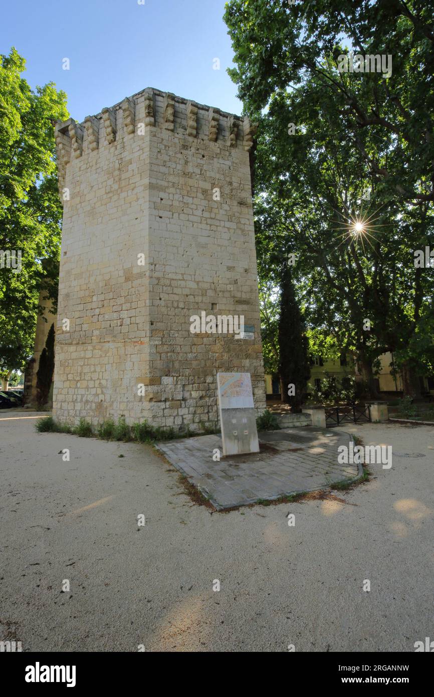 Historical fortified tower Tour de la Roquette in backlight, Arles, Bouches-du-Rhône, Camargue, Provence, France Stock Photo