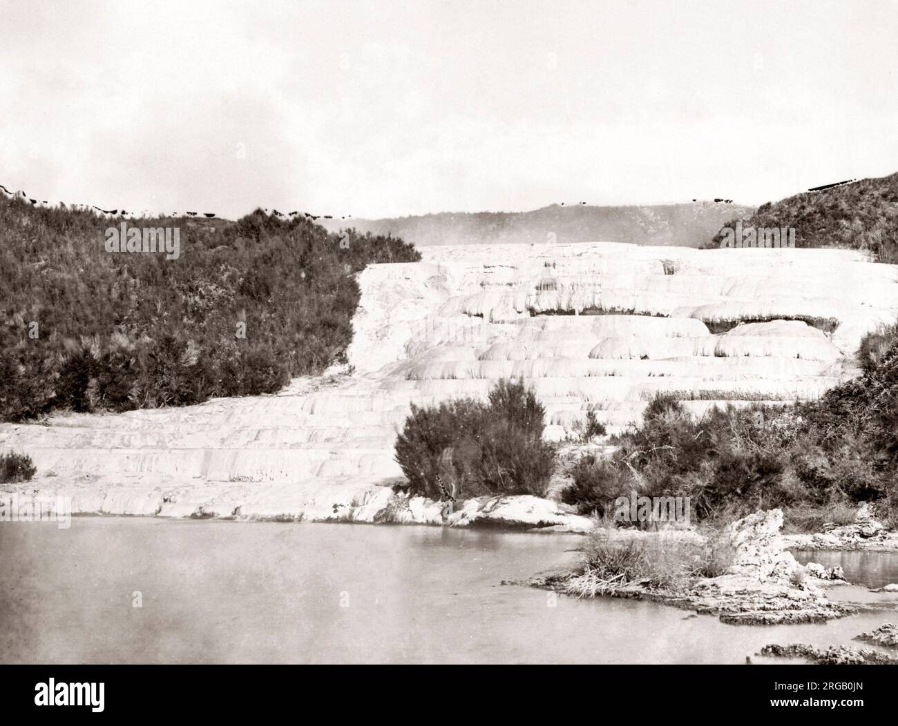 The Pink Terrace, Te Otukapuarangi MÃ„Âori, or White Terrace,  Te Tarata, New Zealand, 1880s Stock Photo