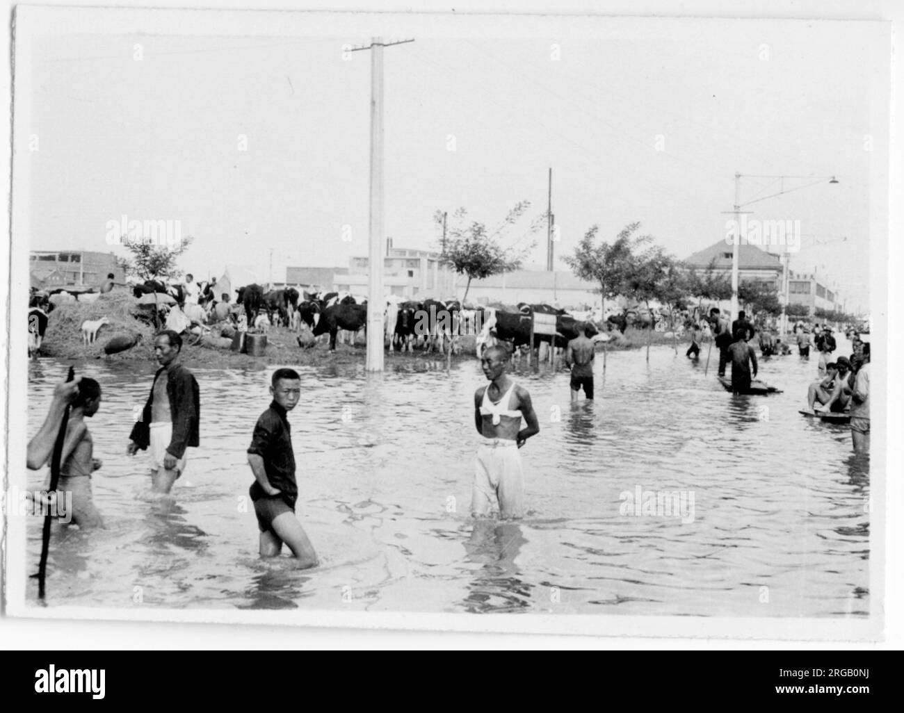 Flooding, flood in Tientsin, Tianjin, China 1939 Stock Photo
