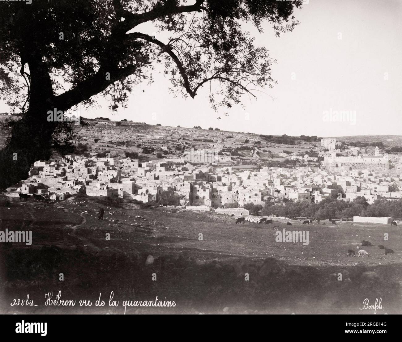 Vintage 19th century photograph: view of the city of Hebron, Holy Land, Palestine, modern West Bank. Stock Photo