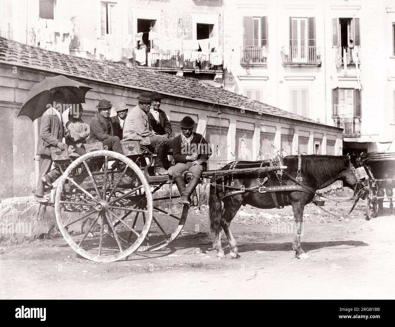 Hackney carriage horse hi-res stock photography and images - Alamy