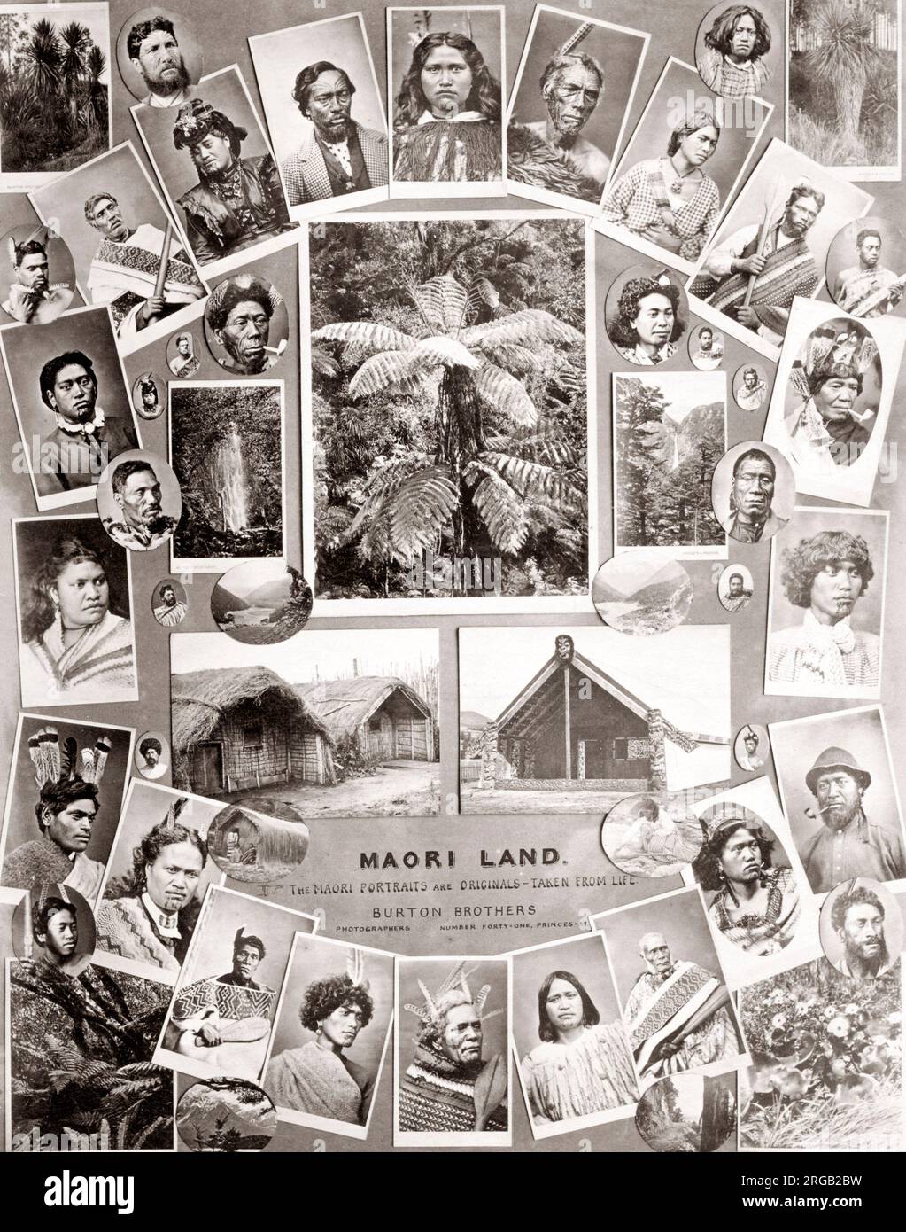 Composite of Maori images by Burton Bros photographers in Dunedin New Zealand c. 1890 Stock Photo