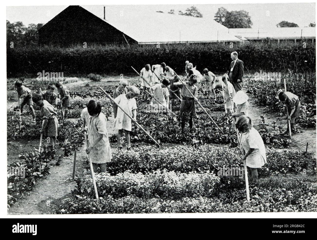 Gardening at Fyfield Residential Open Air School, Essex Stock Photo
