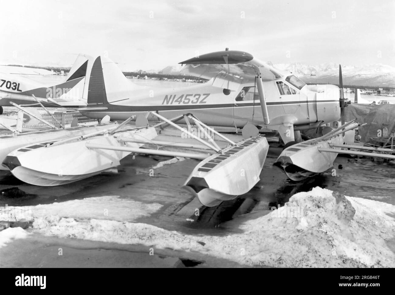 De Havilland Dhc 2 Beaver Black And White Stock Photos Images Alamy de-havilland-dhc-2-beaver-black-and-white-stock-photos-images-alamy